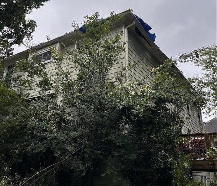 Tree Fall on an Cobb County Home